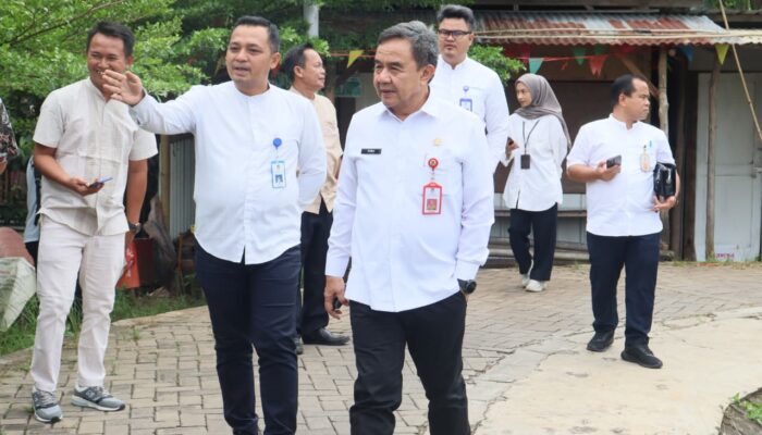 Sekda Tangerang Panen Melon di Curug Wetan, Apresiasi Pertanian Modern Anak Muda