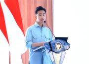 Wakil Presiden RI Tanam Jagung Kuartal IV di Tangerang Banten