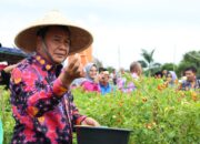 Bupati Tangerang Panen Raya Cabai Setan Bersama Kelompok Tani Berenuk di Legok