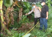 Mayat Tanpa Identitas Ditemukan di Kebun Pisang Cikupa, Polresta Tangerang Selidiki Dugaan Pembunuhan