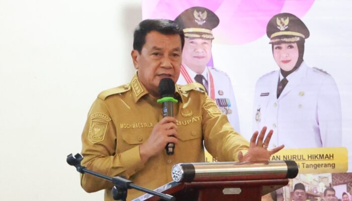 Bupati Tangerang Dorong Dekranasda Perluas Jangkauan Pendampingan UMKM Kerajinan