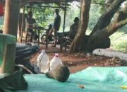 Diduga Dikuasai Jaringan Terorganisir, Peredaran Tramadol Ilegal Marak di Subang