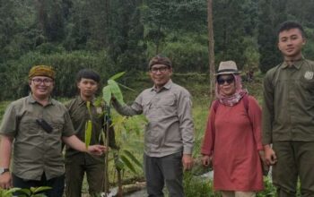 Pesan KDM ke Sekolah: Tanamkan Cinta Alam Sejak Dini, Kadisdik Jabar Gagas Gerakan Tanam Bambu