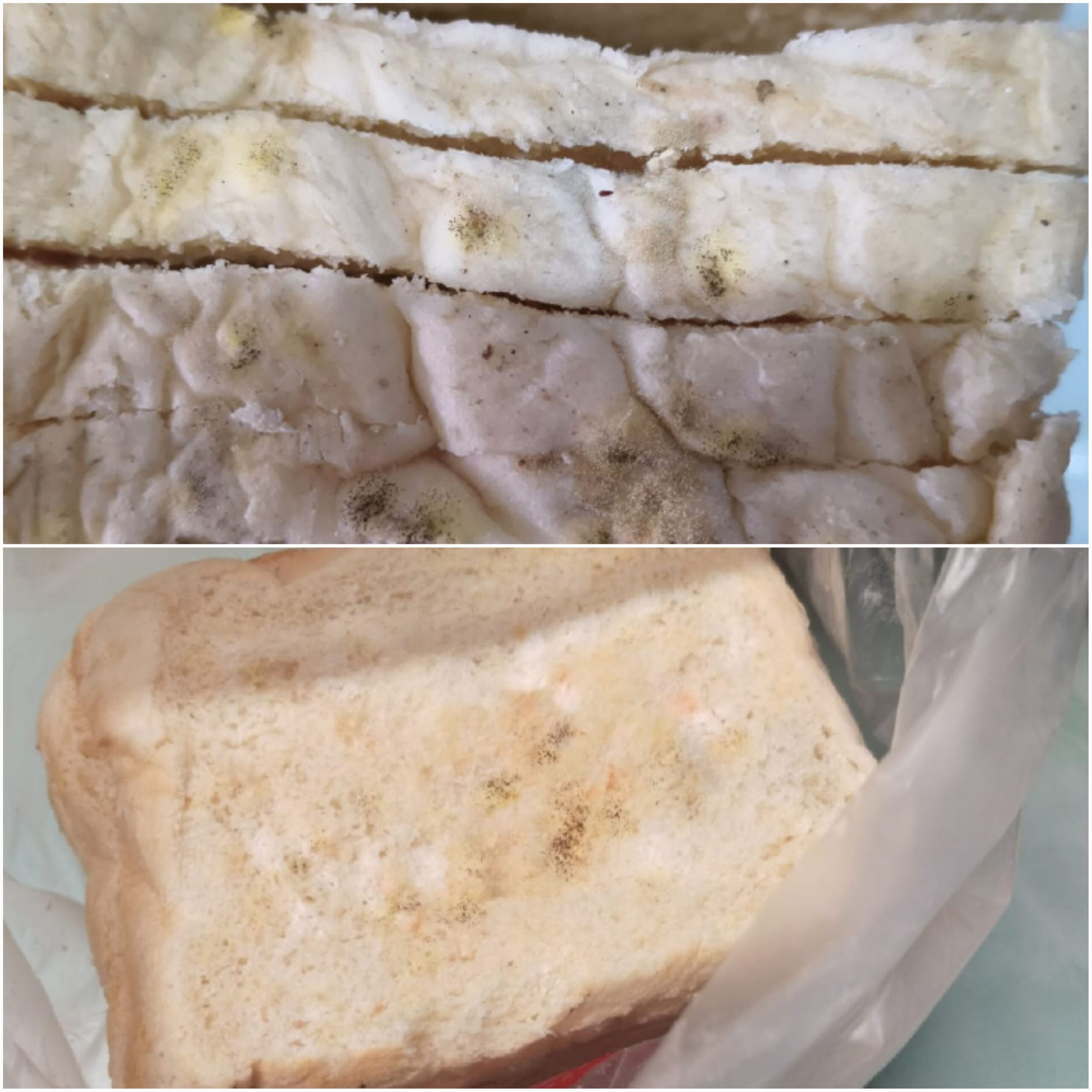 20260302 203906 scaled