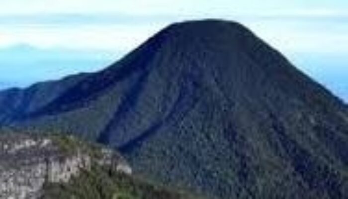 Pendakian Gunung Gede Pangrango Ditutup Hingga 12 April 2026, BBTNGGP Utamakan Keselamatan Pendaki