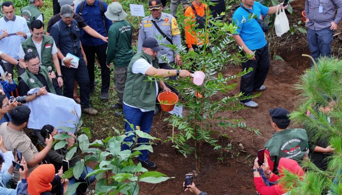 Bogor Genjot Hutan Kota, 156 Hektare Lahan Sudah Ditanami 45 Ribu Pohon
