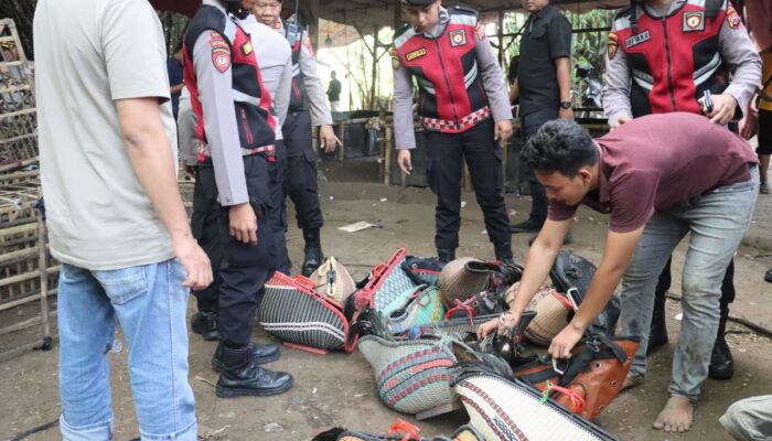 Polresta Tangerang Gerebek Judi Sabung Ayam di Jayanti, Dua Orang Diamankan