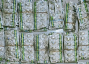 Polres Karawang Bongkar Jaringan Obat Keras Ilegal hingga Bekasi, 4 Pelaku Ditangkap