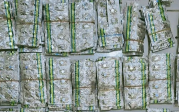 Polres Karawang Bongkar Jaringan Obat Keras Ilegal hingga Bekasi, 4 Pelaku Ditangkap