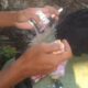 IMG 20260608 WA0009 1