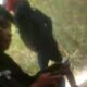 IMG 20260608 WA0023