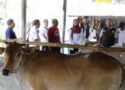 Pemprov Jabar Salurkan 24 Bibit Sapi Potong untuk Peternak di Tiga Kabupaten