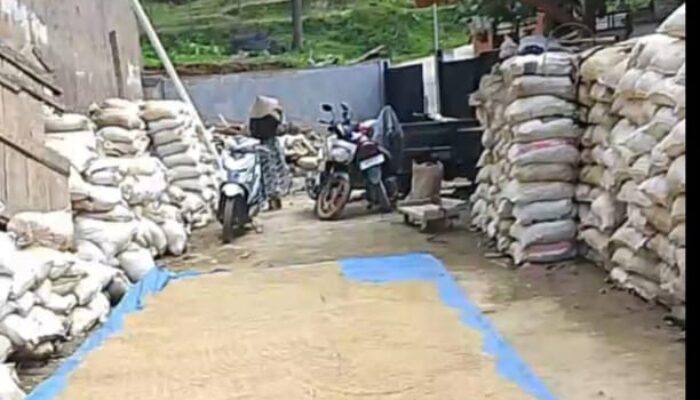 Diduga Pengolahan Emas Ilegal Masih Beroperasi di Puraseda, Aparat Diminta Bertindak