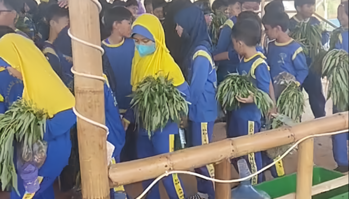 253 Siswa Serbu Bomang, Belajar Ketahanan Pangan Lewat Eduwisata