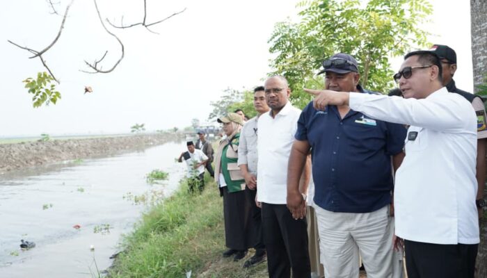 Normalisasi Saluran Irigasi Kedung Gede Dikebut, Plt Bupati Bekasi Targetkan Rampung Sebulan