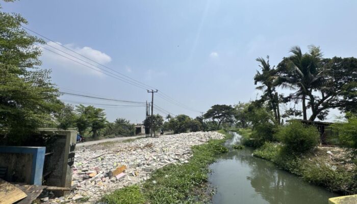 DLH Kabupaten Bekasi Siapkan Penghijauan Pasca Penertiban Bangli di SS Balong Tua